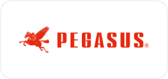 PEGASUS
